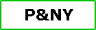 The Pittsburgh and New York Railroad Co.