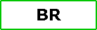 The Blue Ridge Railroad Co.